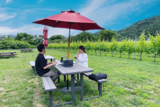 秋保ワイナリーブドウ畑屋外席のワーケーション風景